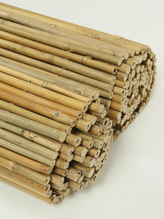 Ra-Ba Gard de Bambus cu Întregul Reed 2.5x3m