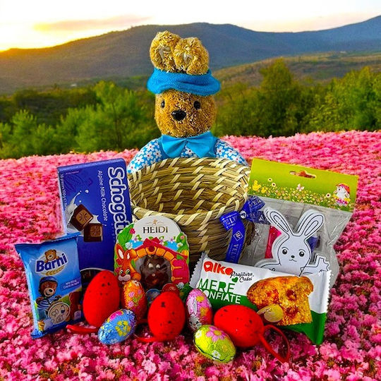 Coș De Paște Schogetten Ciocolată 100g Barni Brioșă 30g Heidi Ciocolată 20g Alka Prăjitură Cu Măr 60g Set De Colorat Ouă De Ciocolată Decorațiuni Tematice Într-un Coș Din Paie