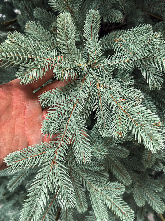 Weihnachtsbaum Viena 250cm mit 1240 Zweige Silber
