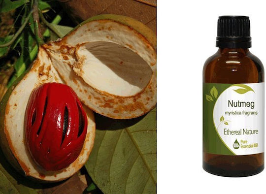 Nature & Body Етерично Масло 50ml