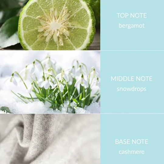 Heart & Home Diffuser με Άρωμα Βανίλια C01150427 70ml