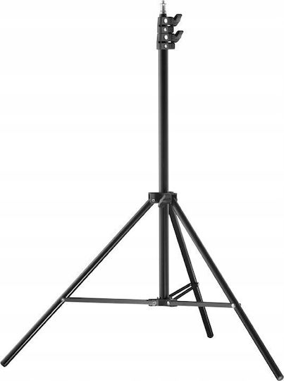 Freepower Fall 643459213913