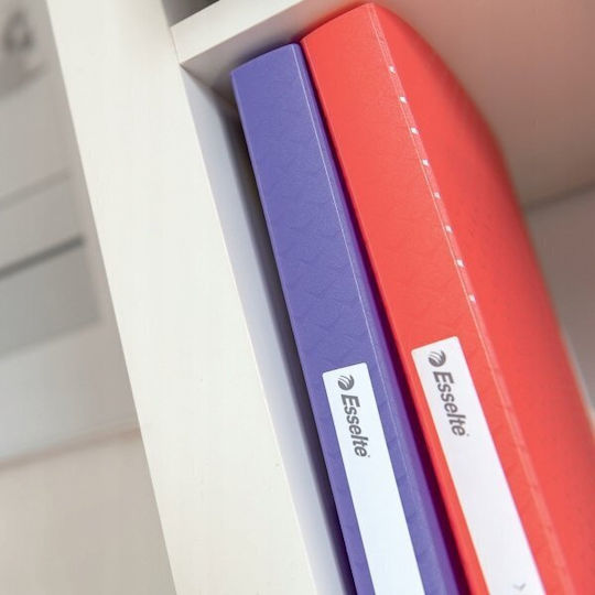 Esselte Clipboard with Clip for Paper A4 1pcs