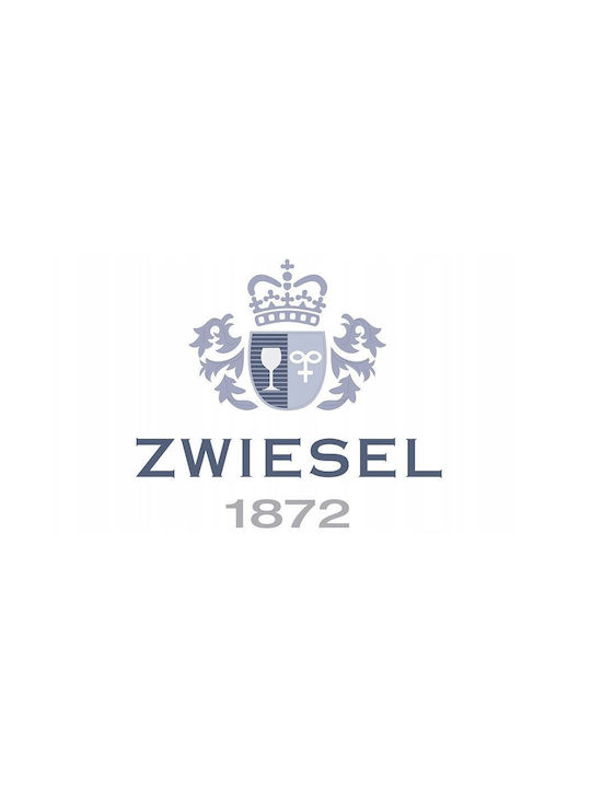 Zwiesel Glas Decorative Vase Transparent