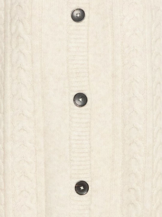 20815628-1309051