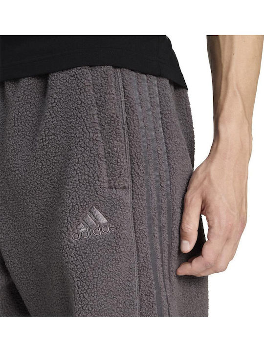 Pants Sweatpants Purple