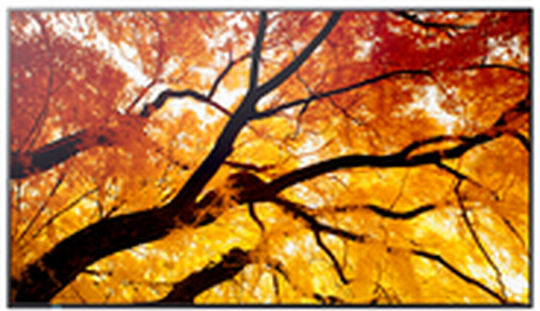 Sharp 32" Commercial Display
