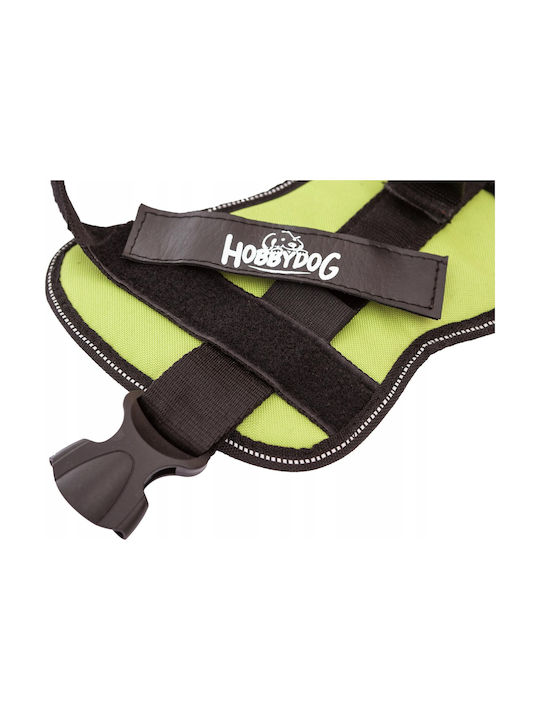 Hobbydog Hundegeschirr Grün