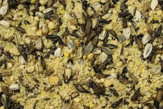 Germix Cardiddu – Eggfood Native Insects Sprouted Seeds 5kg