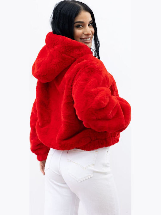 Scurtă Blană de damă Red