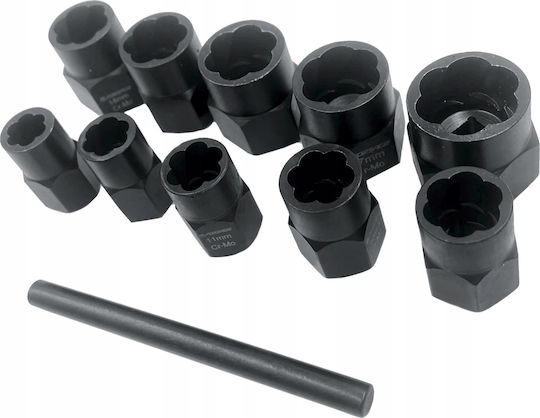 Rockforce Καρυδάκια με Καρέ Υποδοχής 3/8" Σετ 11τμχ