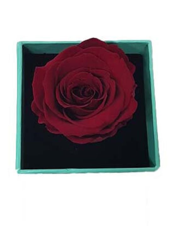 Velve Brățară Pentru Femei Cu Design Floare 10cm