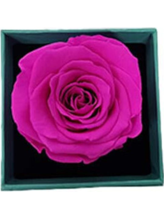 Velve Women's Bracelet with Flower Design 10cm
