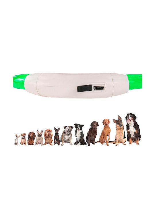 Hundehalsband Haustier Beleuchtetes Rotes