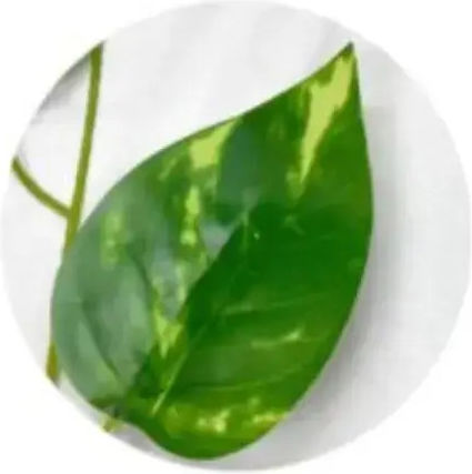 Frunziș Artificial Suspendat 2.15m Verde Fals Decorațiune Casă Grădină Nuntă