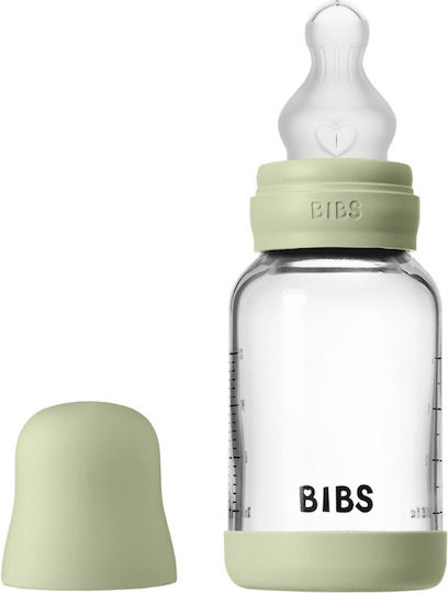 Bibs Glass Baby Bottle Set Anti-Colic with Silicone Nipple 120ml