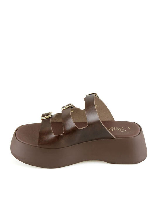 Women's Leather Platform Shoes Brown