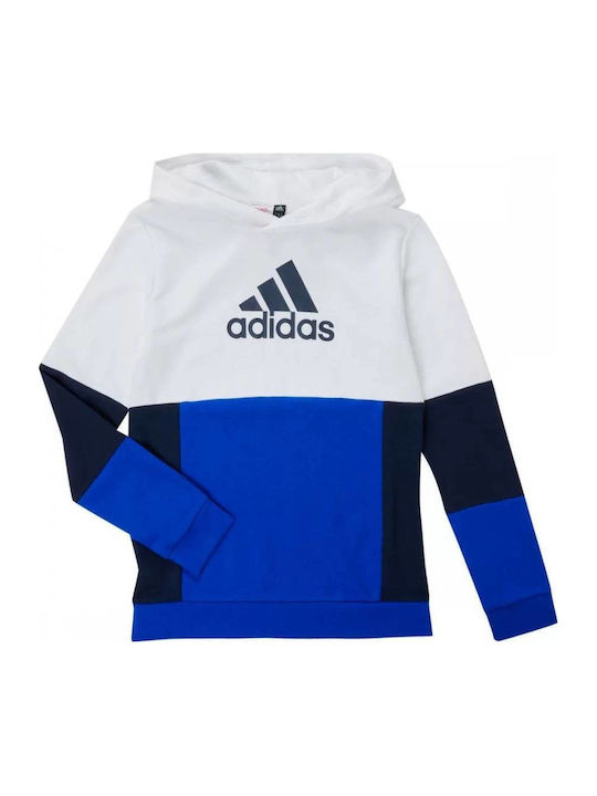 Kinder-Sweatshirt mit Kapuze Mehrfarbig Colorblock