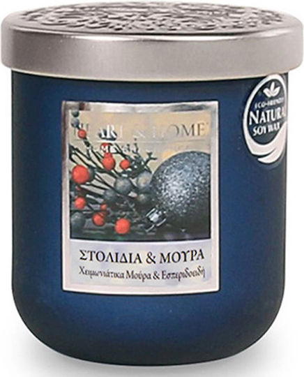Heart & Home Σόγιας σε Βάζο Μπλε Heart & Home Σόγιας σε Βάζο Μπλε