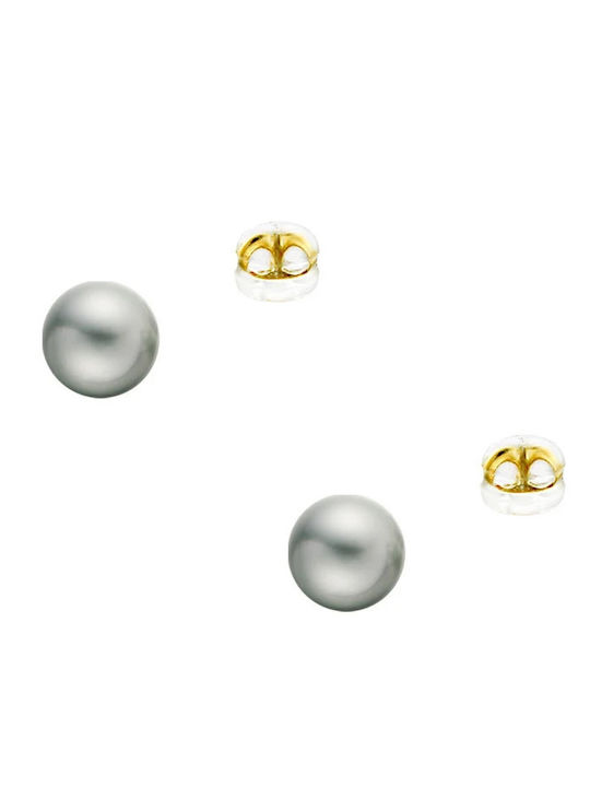 14K Gold Earrings Silicone Clasp Gray Pearls 5 5-6 Millimeters F126728g
