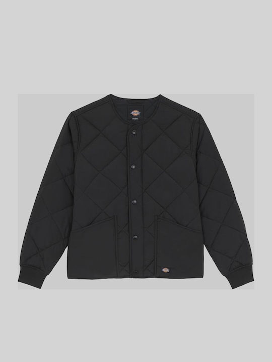 Dickies Dickies