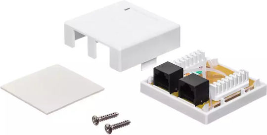Netrack Двойна Мрежова контактна гнездо RJ45 с рамка Тип Cat6 в цвят Бял 106-21