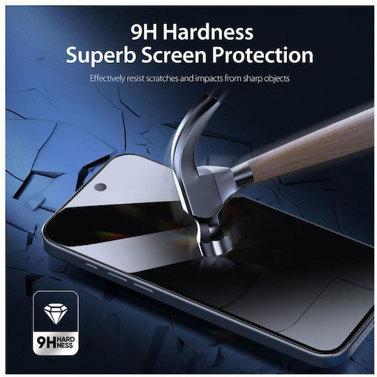 Dux Ducis Privacy Full Face Tempered Glass Black (iPhone Air)