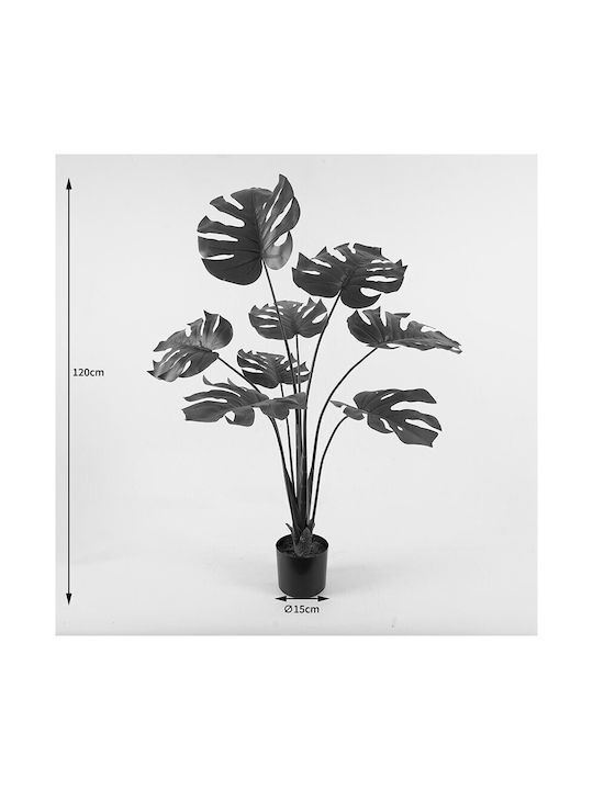 Dekorative Topfpflanze Deliciosa Inart Grne P94x120cm | Skroutz Germany
