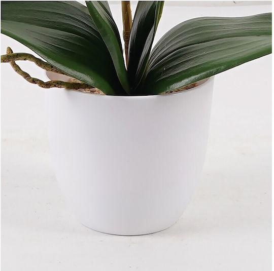 Decorative Potted Plant Orchid Beauty Inart 30x13x46cm Decorative Potted Plant Orchid Beauty Inart 30x13x46cm