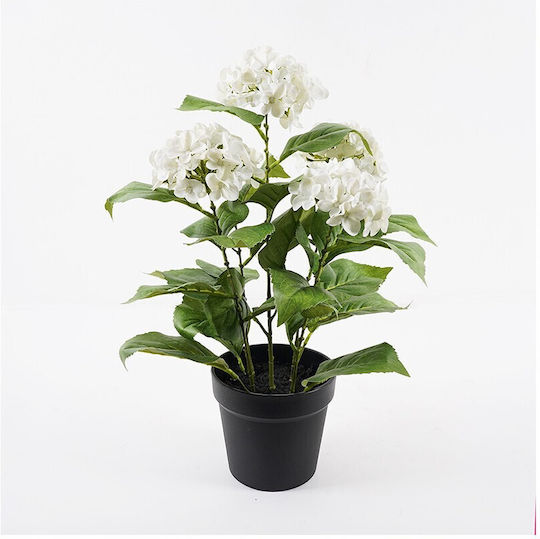 Διακοσμητικό Φυτό Γλάστρα Hydrangea Inart Λευκό Φ35x50εκ