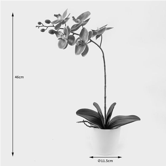 Decorative Potted Plant Orchid Beauty Inart 30x13x46cm
