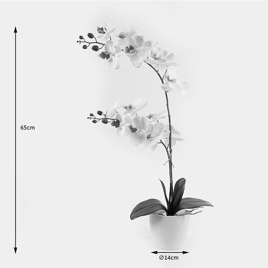Διακοσμητικό Φυτό Γλάστρα Οrchid White Inart 36x17x65εκ