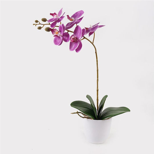 Decorative Potted Plant Orchid Beauty Inart 30x13x46cm