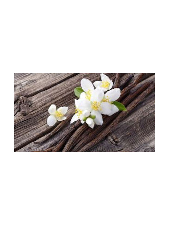 Eolia Cosmetics Αρωματικό Wax Melt με Άρωμα Βανίλια