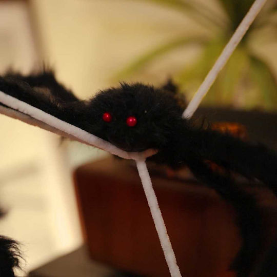 De carnaval Păianjen Neagră pentru Halloween 4buc