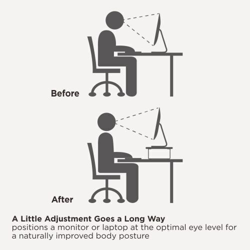 Brateck Desktop Stand for 2 Monitors up to 32" Gray (STB-111-03)