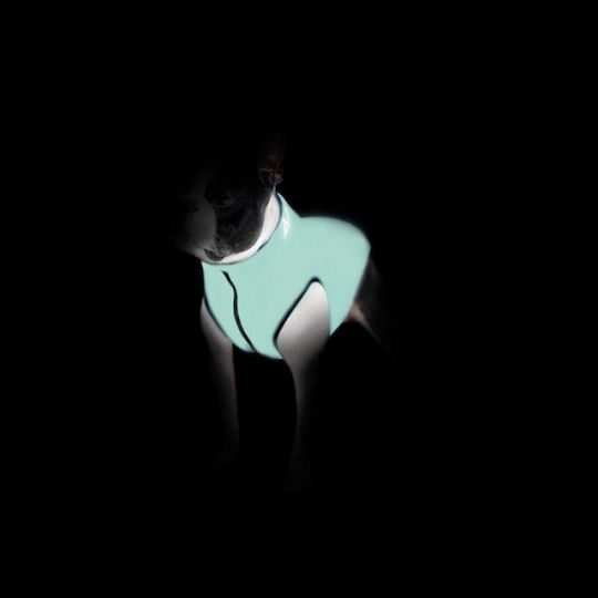M45_waudog Geacă pentru câini Airyvest reversibilă albastru-verde