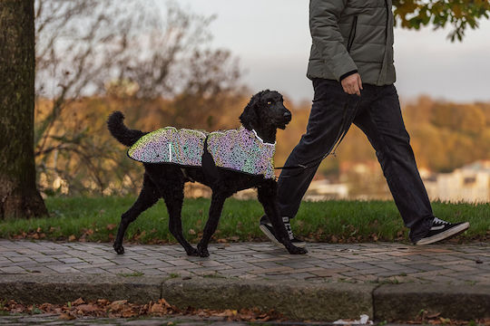 Trixie Windproof Dog Coat XLarge with 70cm Back Length