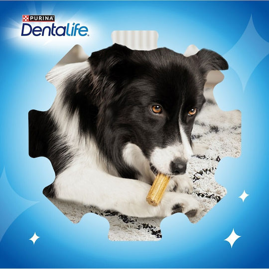 Dentalife Stick Mestecabil Pentru Câini Împotriva Tartarului Și Plăcii 69gr