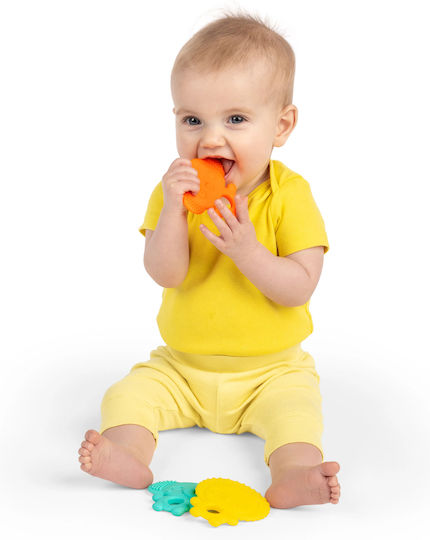 Bright Starts Produs de dentiție pentru 3 m+