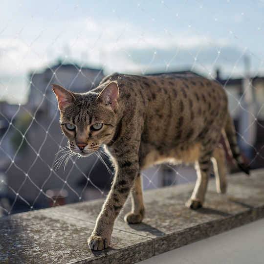 Duvo Plus Katzennetz Für Fenster & Balkon 400 x 300cm