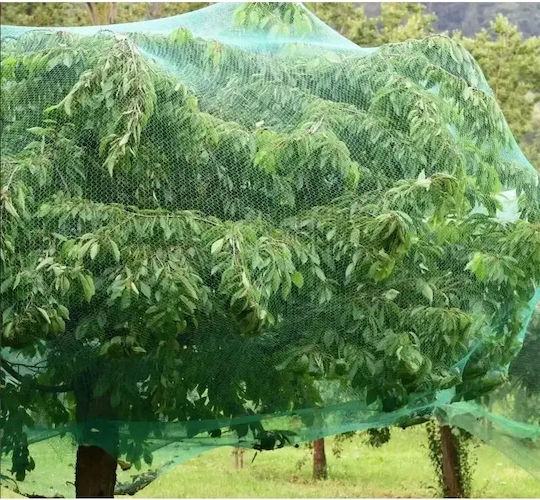 KMT Tools Bird Repellent Net 10x4m KMT Tools Bird Repellent Net 10x4m