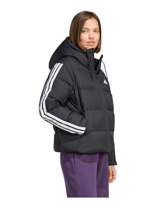 Essentials Women's Puffer Jacket for Winter with Hood Black