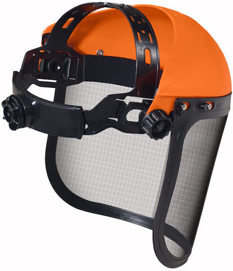 Protection Visor