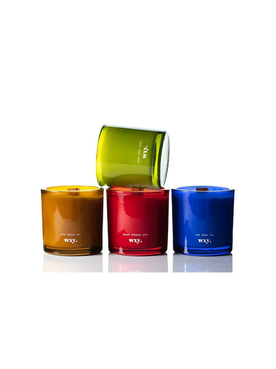 wxy. Aromatisches Kerze in Gefäß mit Duft Roam 350gr