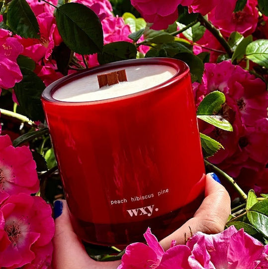 wxy. Aromatic Soy Candle in Jar with Perfume Roam 350g