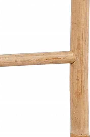 vidaXL Σκάλα Μπάνιου 6 Θέσεων Επιτοίχια ​50x190cm Ασημί