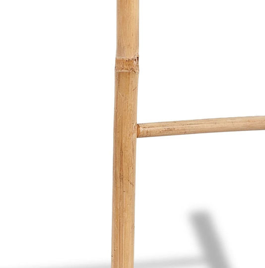 vidaXL Σκάλα Μπάνιου 6 Θέσεων Επιτοίχια ​50x190cm Ασημί