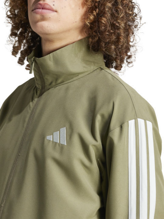 Sportswear Basic Tracksuit Glossy Khaki