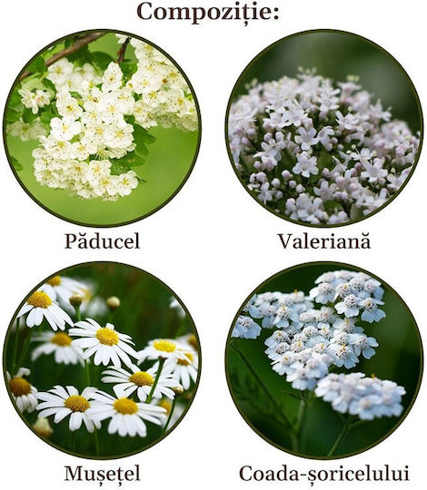 Faunus Plant Kräutermischung 90gr